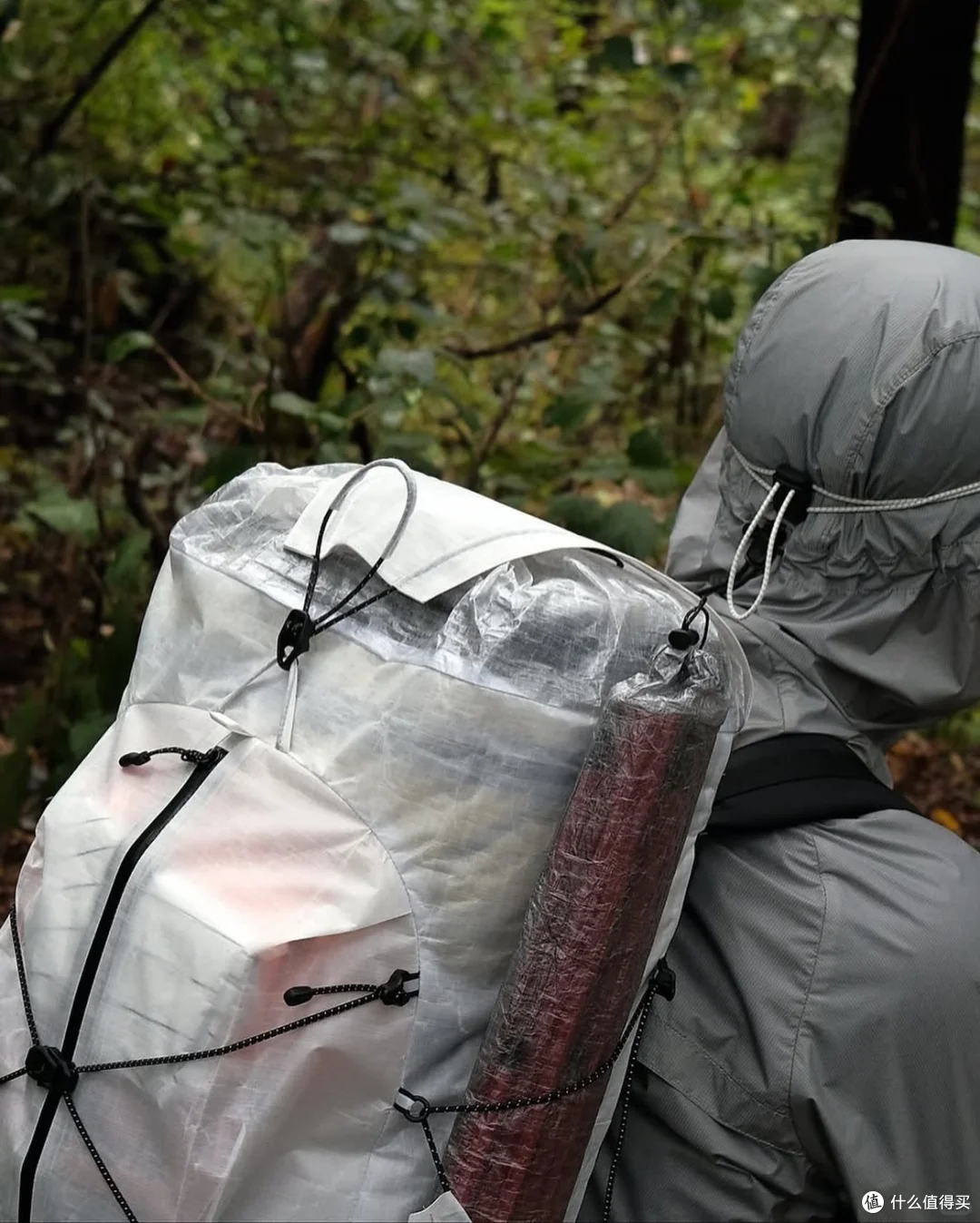 Dyneema:一根能浮在水上的塑料丝,为什么比钢还强 15 倍