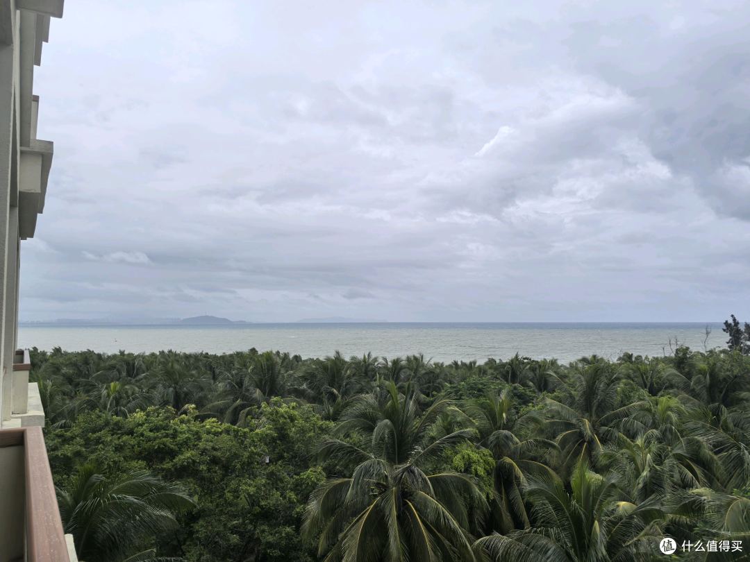 椰林海景