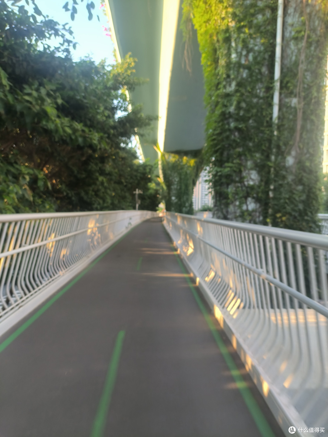 夏末秋初游玩好去处｜厦门空中自行车道