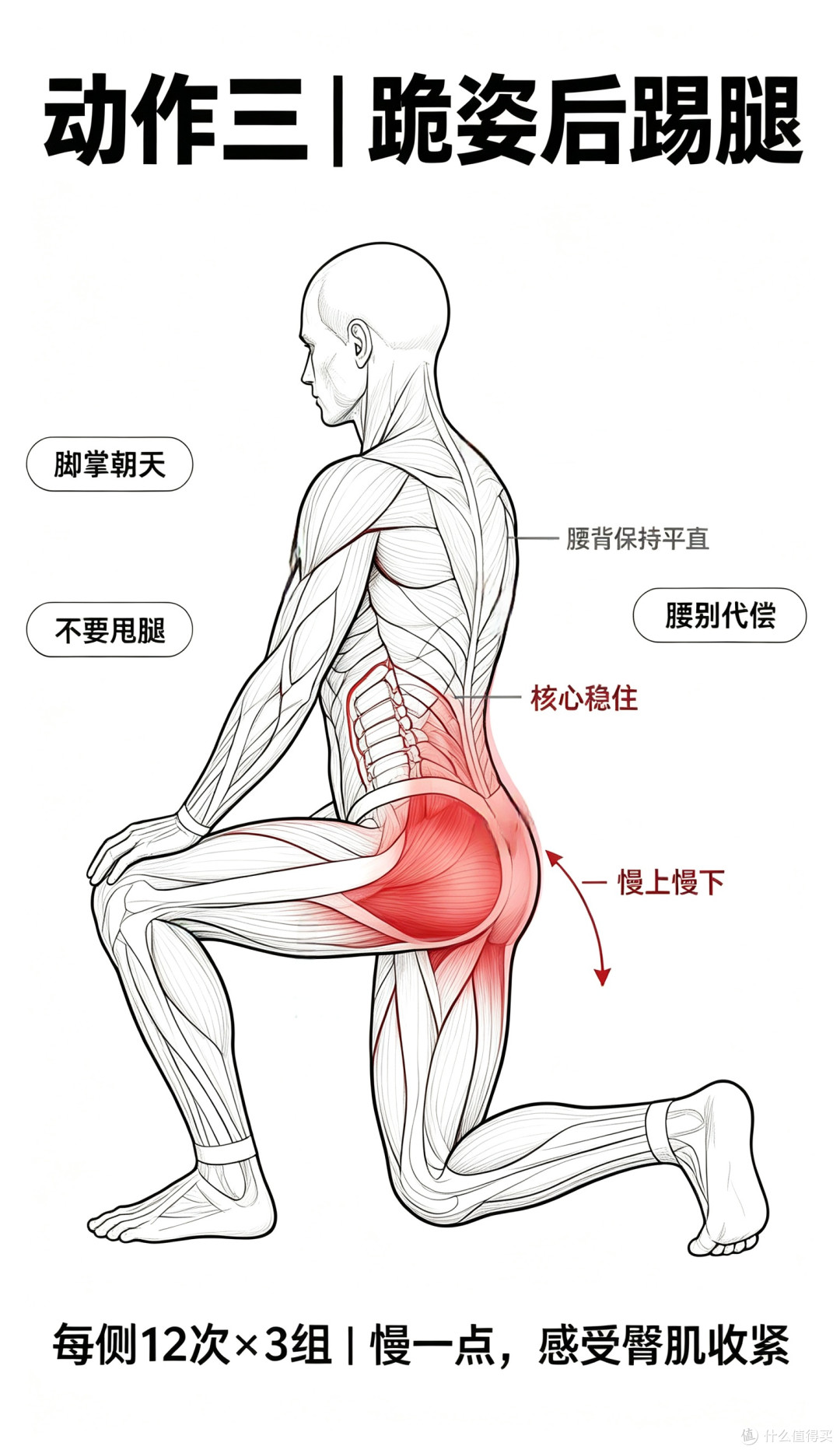 邓为深蹲屁股爆炸!中年男人练臀,腰不酸了