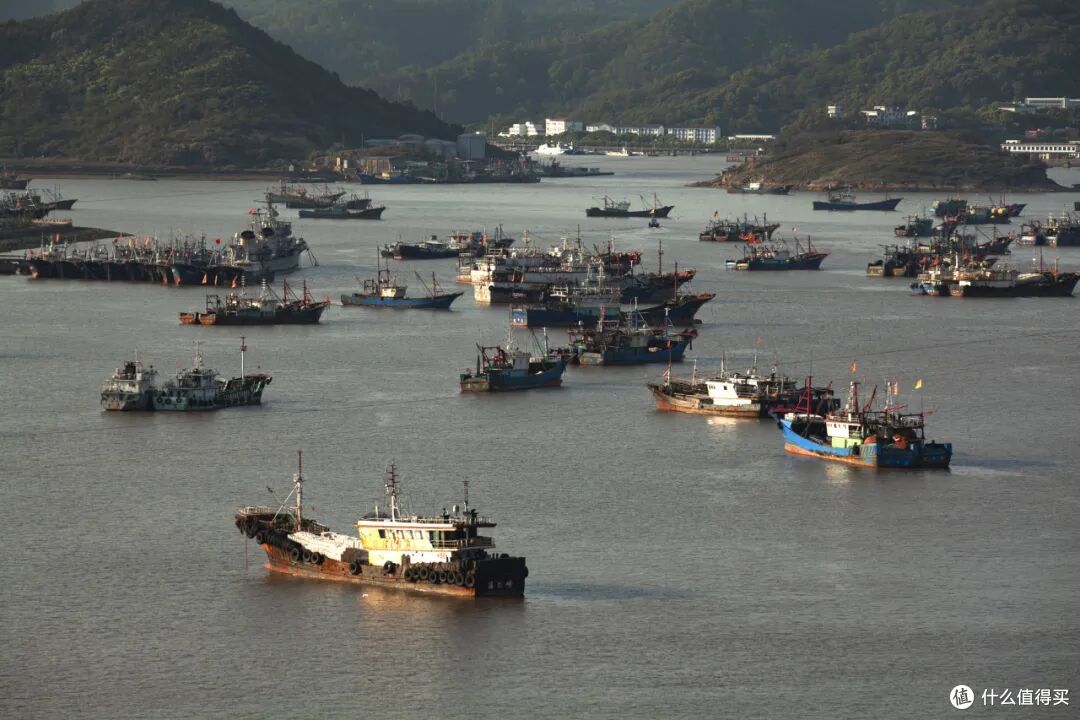跨海地铁开通,东海全面开捕,泼天流量终于轮到了这个山海小城