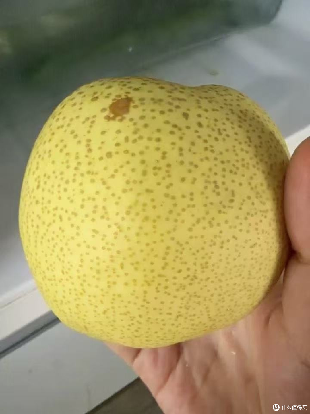砀山梨雪梨煮水秋冬润燥必备
