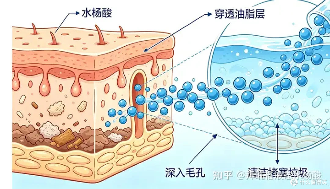 刷酸前必看|一篇带你读懂水杨酸