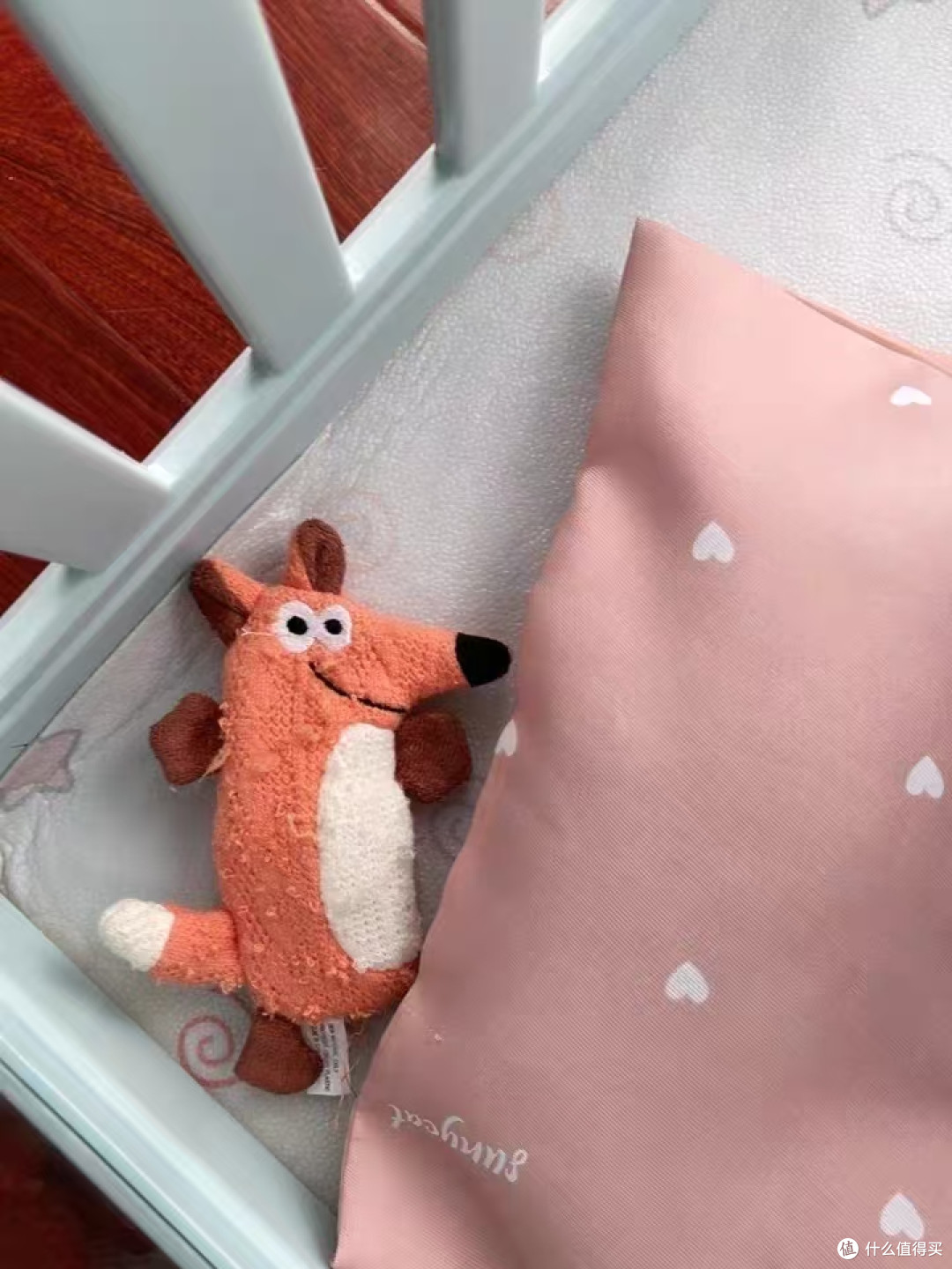新手养狗最怕小狗拆家啃家具😭