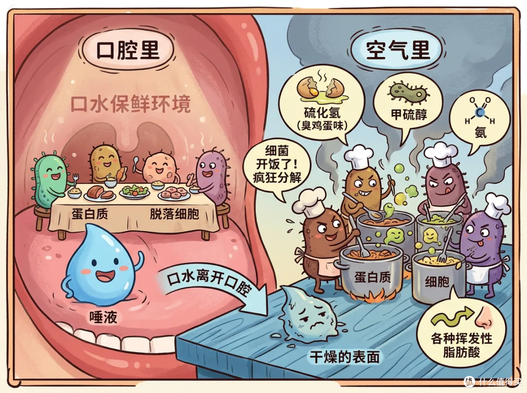 为什么接吻会“上头”,还不嫌对方口水恶心?