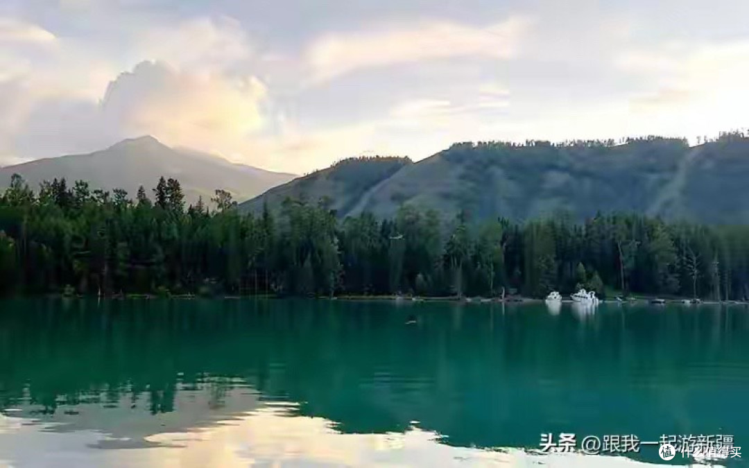 哪个牌子的深海鱼油好?6个国产品牌按原料与配方路线比较