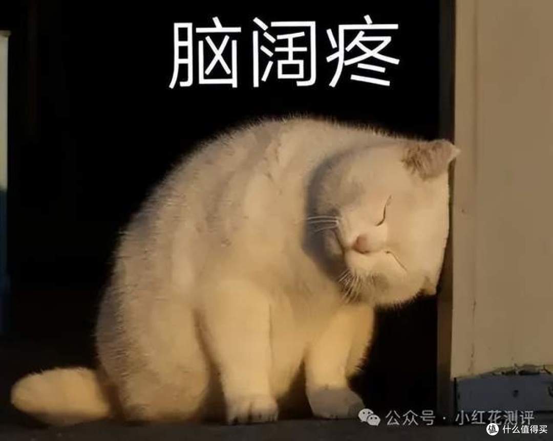 国产奶到底行不行?细菌、体细胞,标准都差太多?