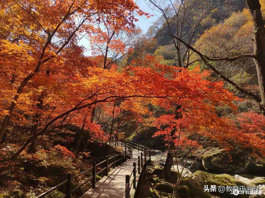 十款蛋白粉怎么选?统一每份蛋白质口径解析
