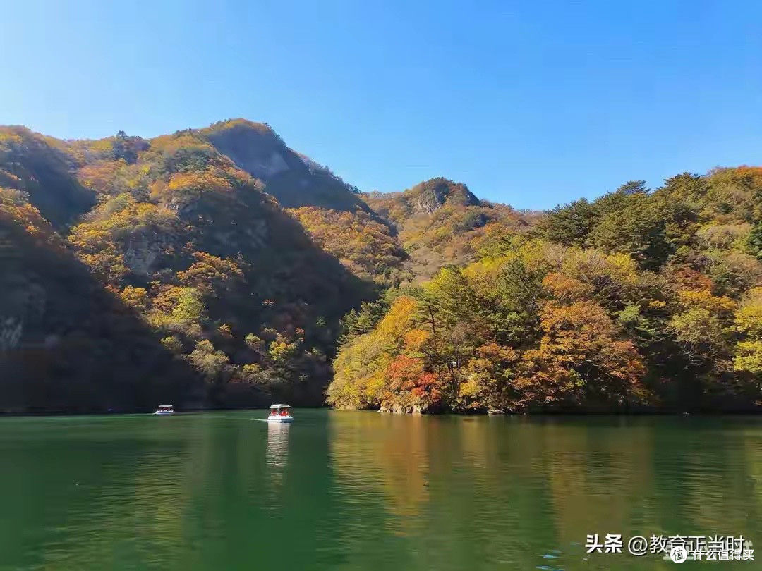 益生菌的CFU是什么意思?用美嘉年益生菌举例说明