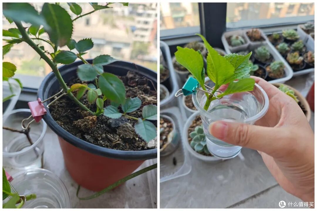 燕尾夹,也有“邪修”用法?果然,还是打工人的脑子比较好使