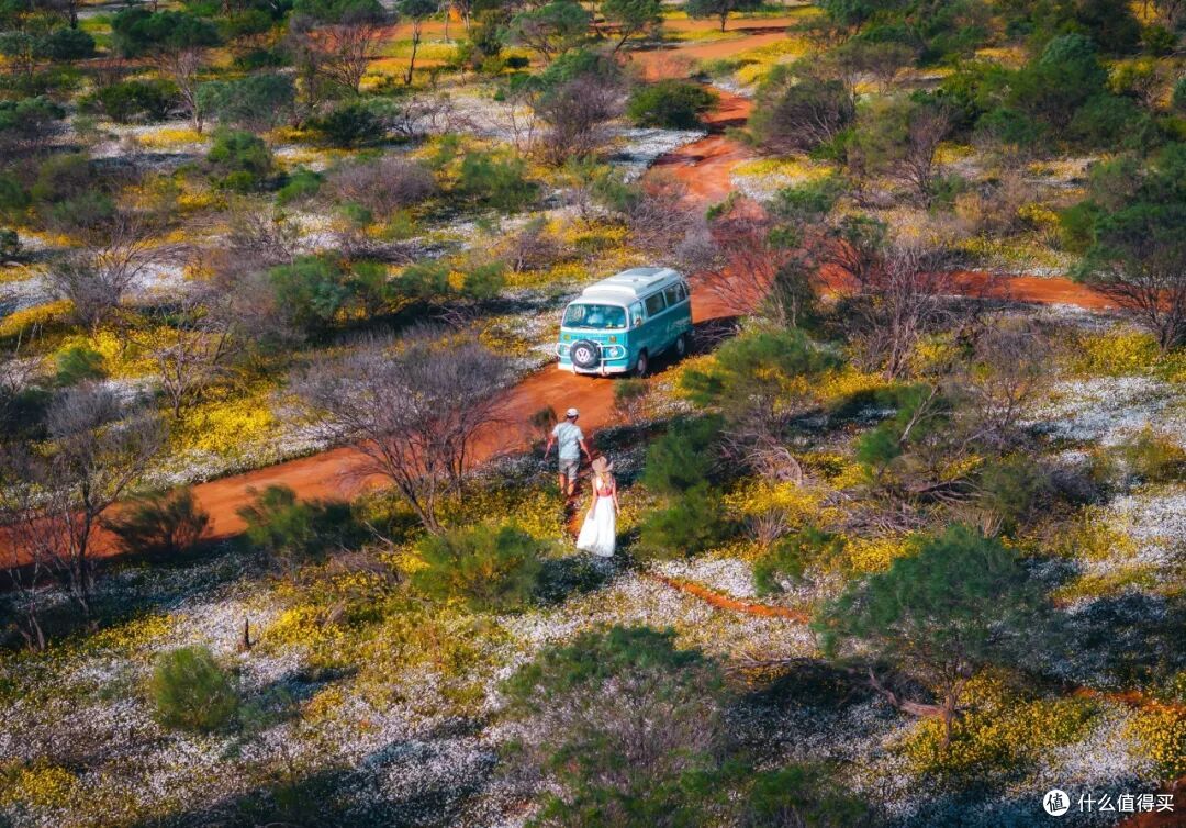 ●Australia's Golden Outback, Western Australia  📷 / © Tourism Australia