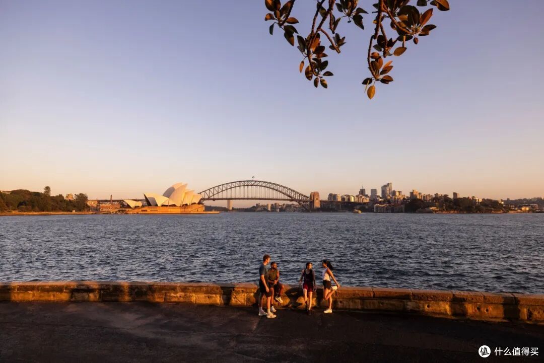 ● Royal Botanic Garden, Sydney, New South Wales  📷 / © Destination NSW