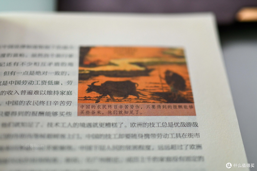 浅浅分享关于《富国论》这本书的主观感受