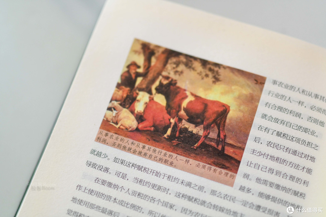 浅浅分享关于《富国论》这本书的主观感受
