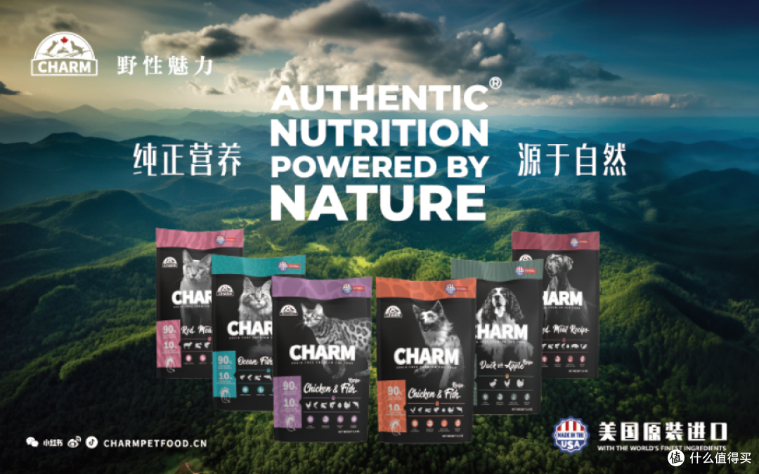 2026年进口狗粮横评:中老年犬关节养护与换粮节奏对照