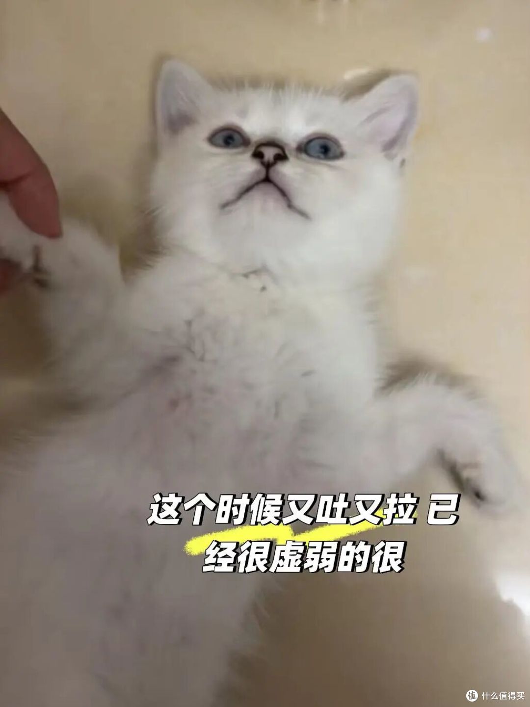曝光!4个网购的深坑,你遇到过吗?全球购、百亿补贴全是套路