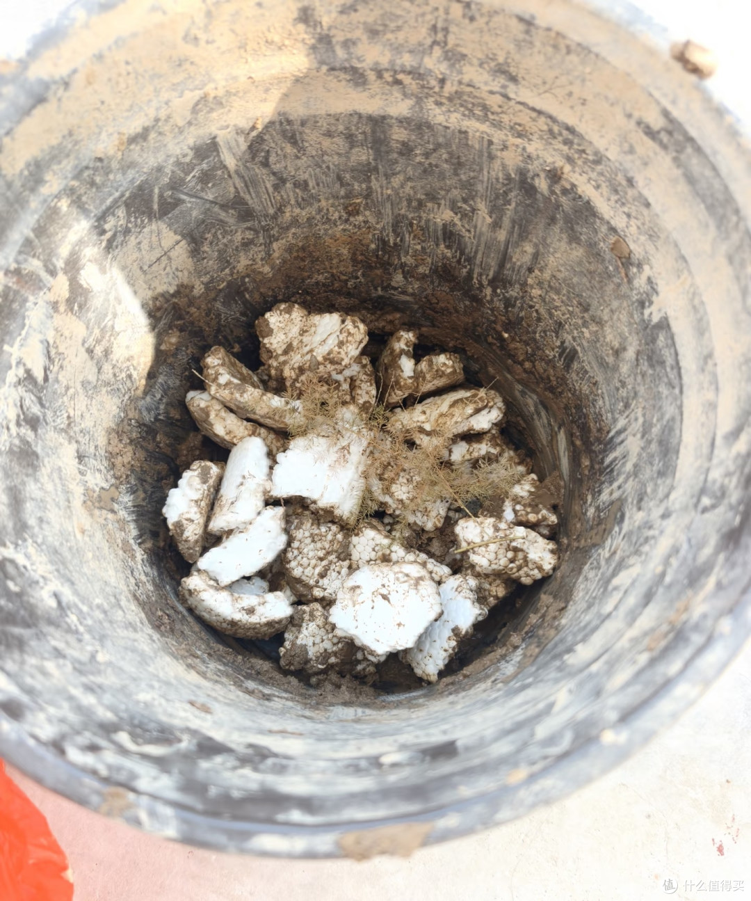 翻盆时花盆底部别再用泡沫垫了，很多花烂根，都和这个老习惯有关