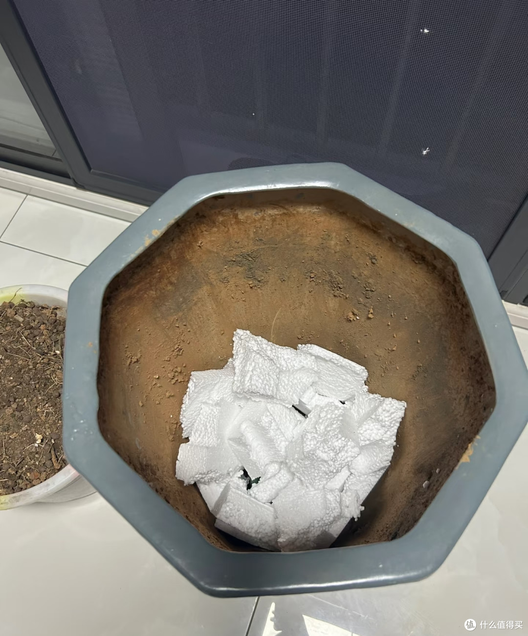 翻盆时花盆底部别再用泡沫垫了，很多花烂根，都和这个老习惯有关