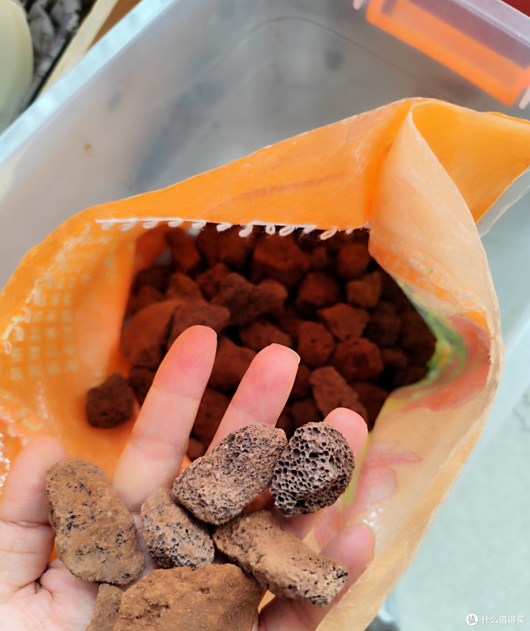 翻盆时花盆底部别再用泡沫垫了，很多花烂根，都和这个老习惯有关