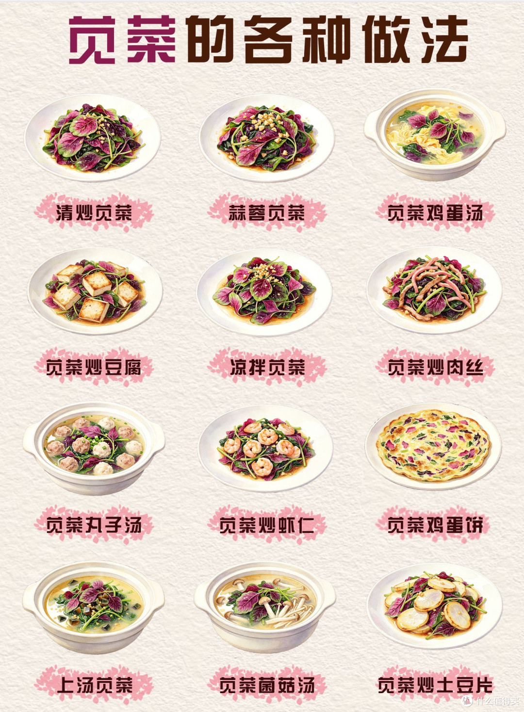 苋菜家常做法与烹饪技巧