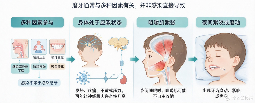 枕头边的嘎吱声:磨牙的5个冷知识与个护避坑