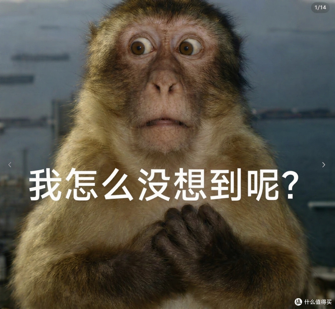 🧐把10块和50块的牙膏成分表摆在一起,我发现了牙膏定价的秘密
