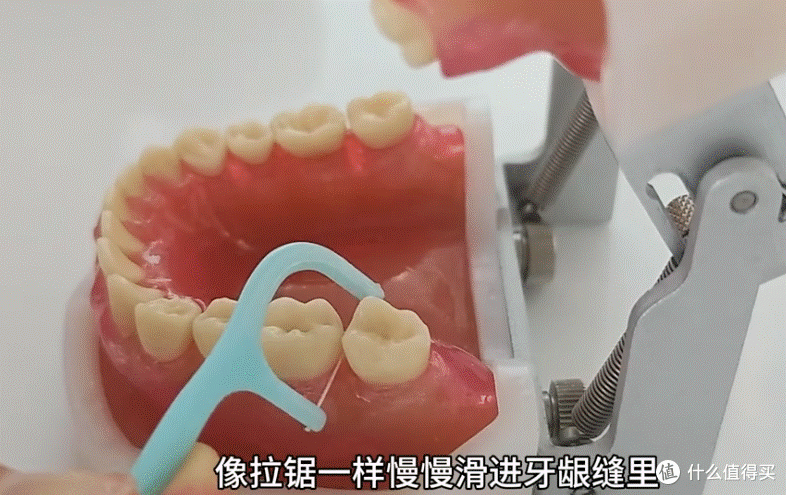 实测,牙线棒小鹿妈妈/德卫我告诉你怎么用!