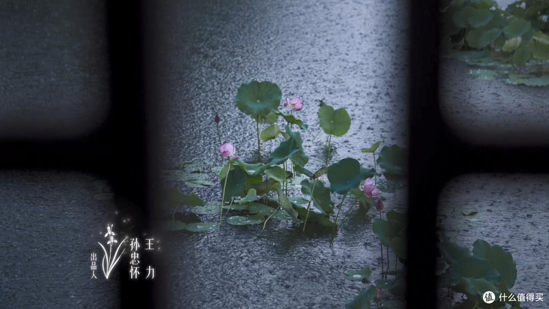 有人骂她装嫩，我却一集入坑。