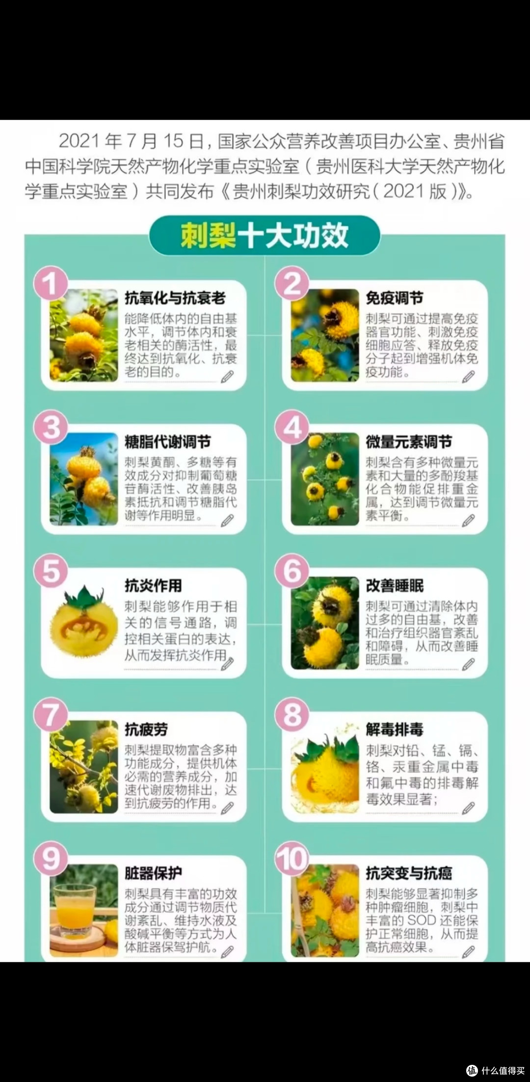 天然VC小金果酸刺梨,养生党别错过