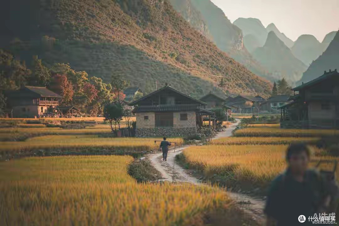 一家人吃海参怎么选？口味、时间和预算三样都要兼顾