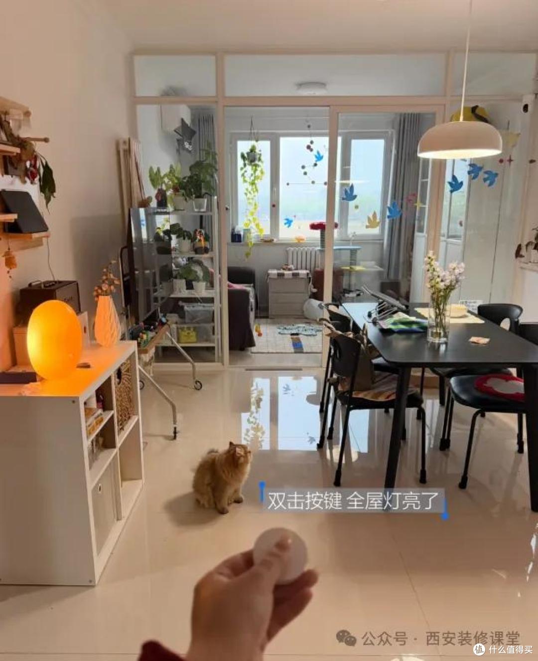 花小钱玩转智能家居,这些便宜货比贵的还顺手