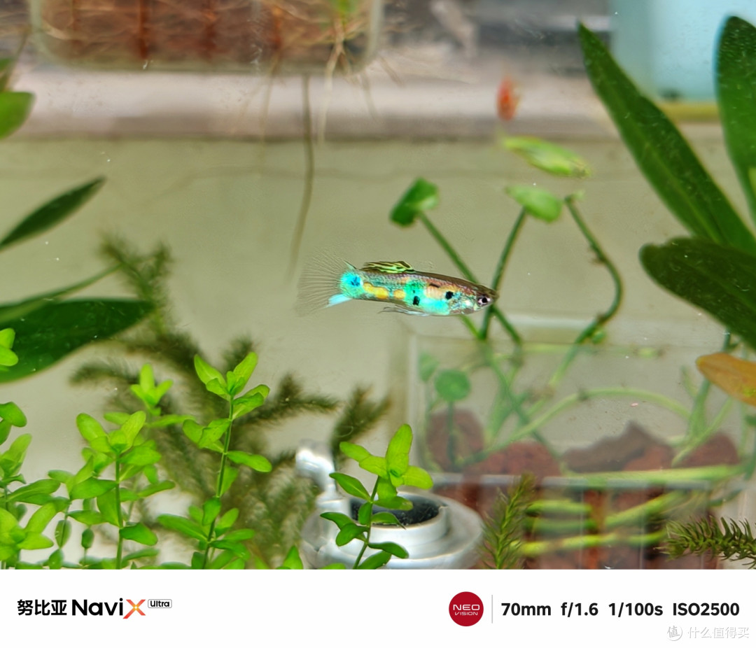 一句话就能包办大小事?努比亚NaviX Ultra豆包手机深度全测评