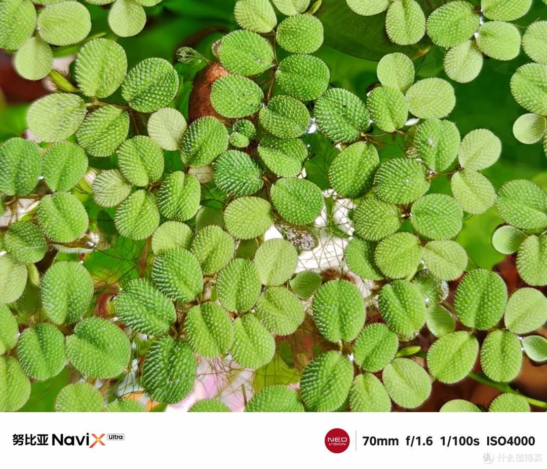 一句话就能包办大小事?努比亚NaviX Ultra豆包手机深度全测评