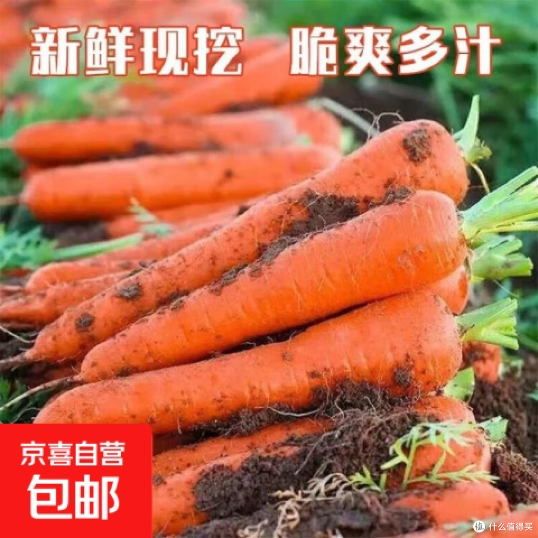 胡萝卜炒肉：肉嫩菜脆的烹饪要点