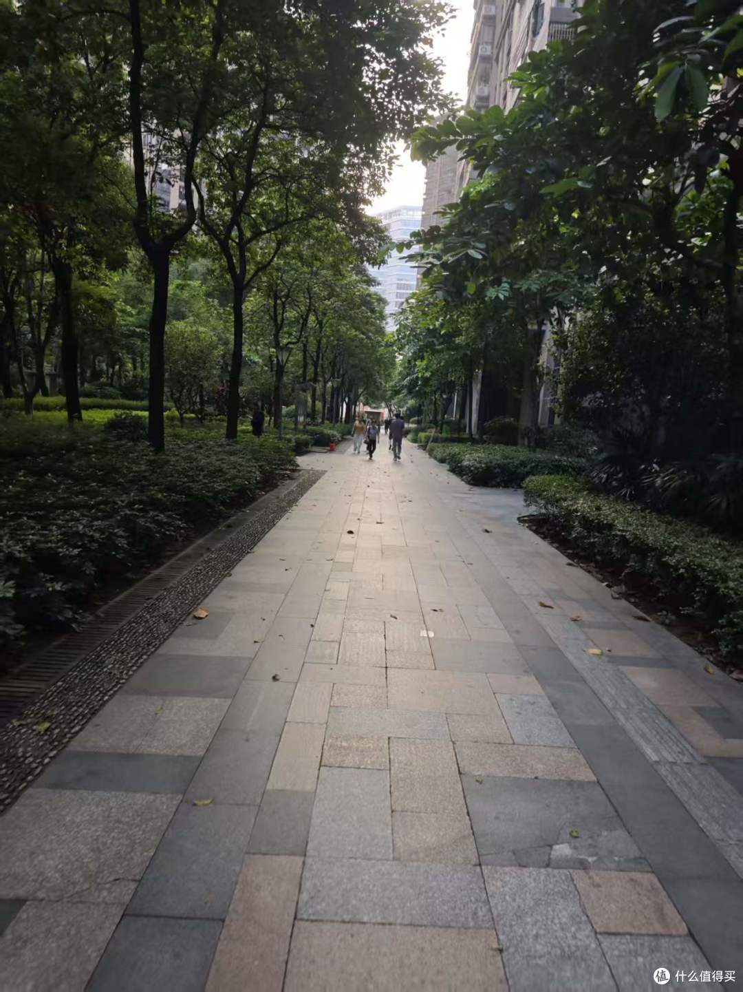 5公里跑完，天就完全亮了，人也多起来了