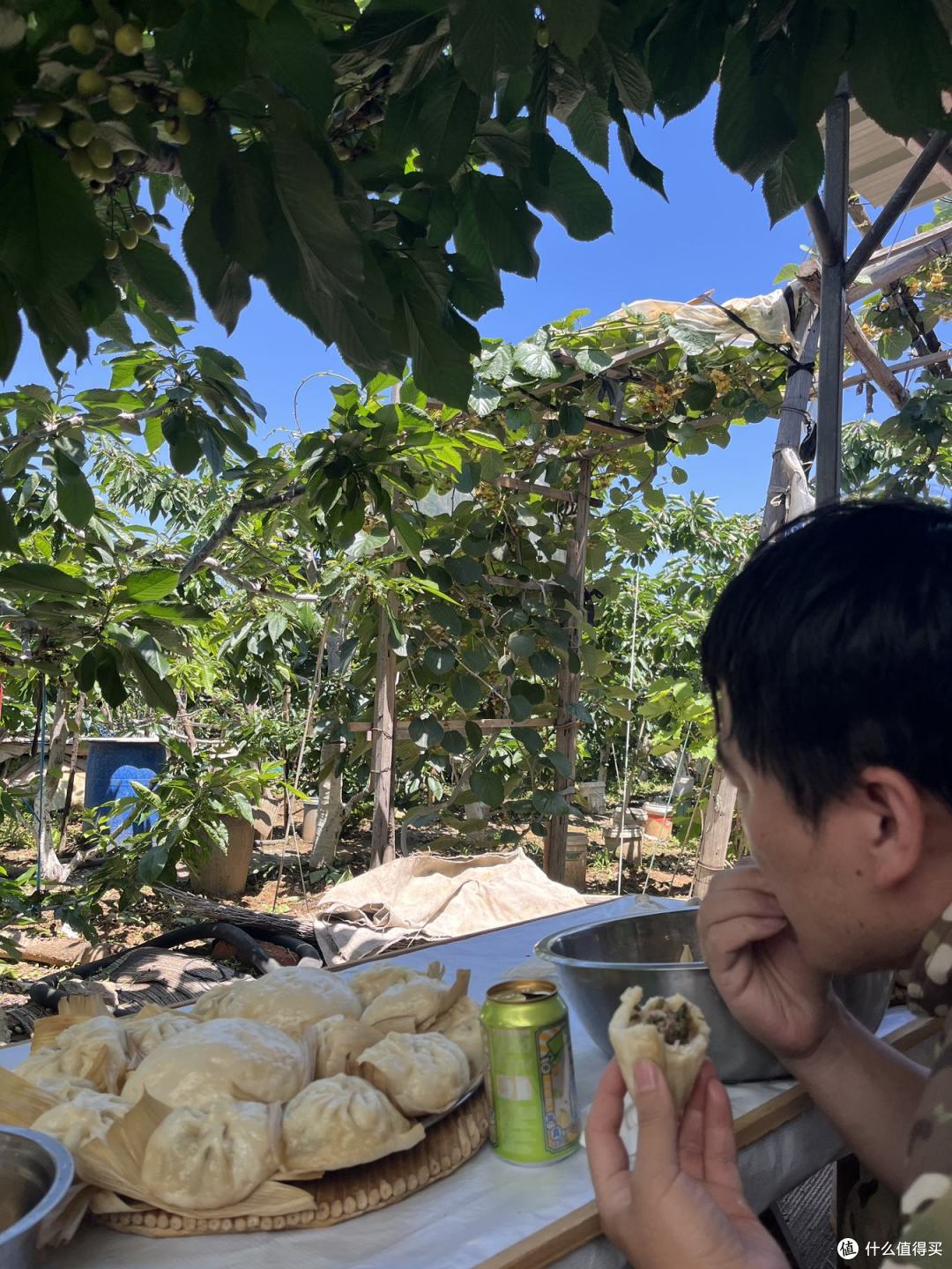 原来山上那口大铁锅蒸包子这么省事,我和婆婆一上午包了一大锅