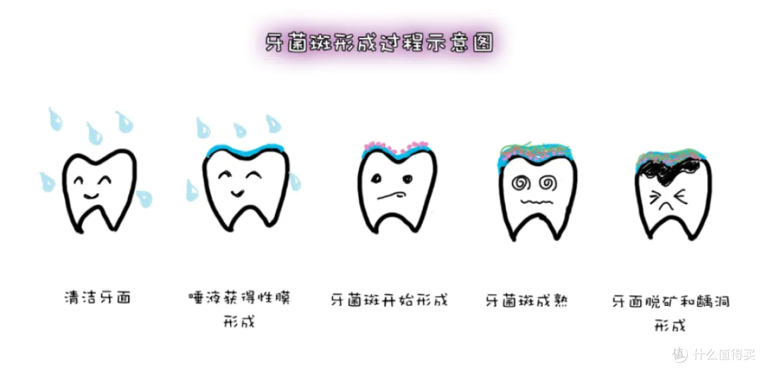牙缝越来越大、总塞牙?不是老了,是牙周在“报警”