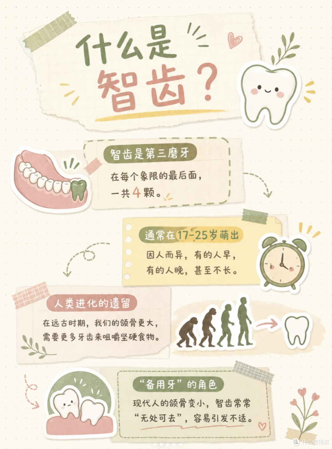 拔智齿能瘦脸?尊嘟假嘟,聊聊智齿那些事儿