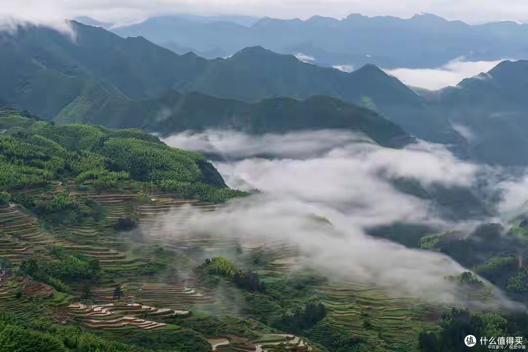 多款蛋白粉怎么选？统一到每份蛋白质后再比较