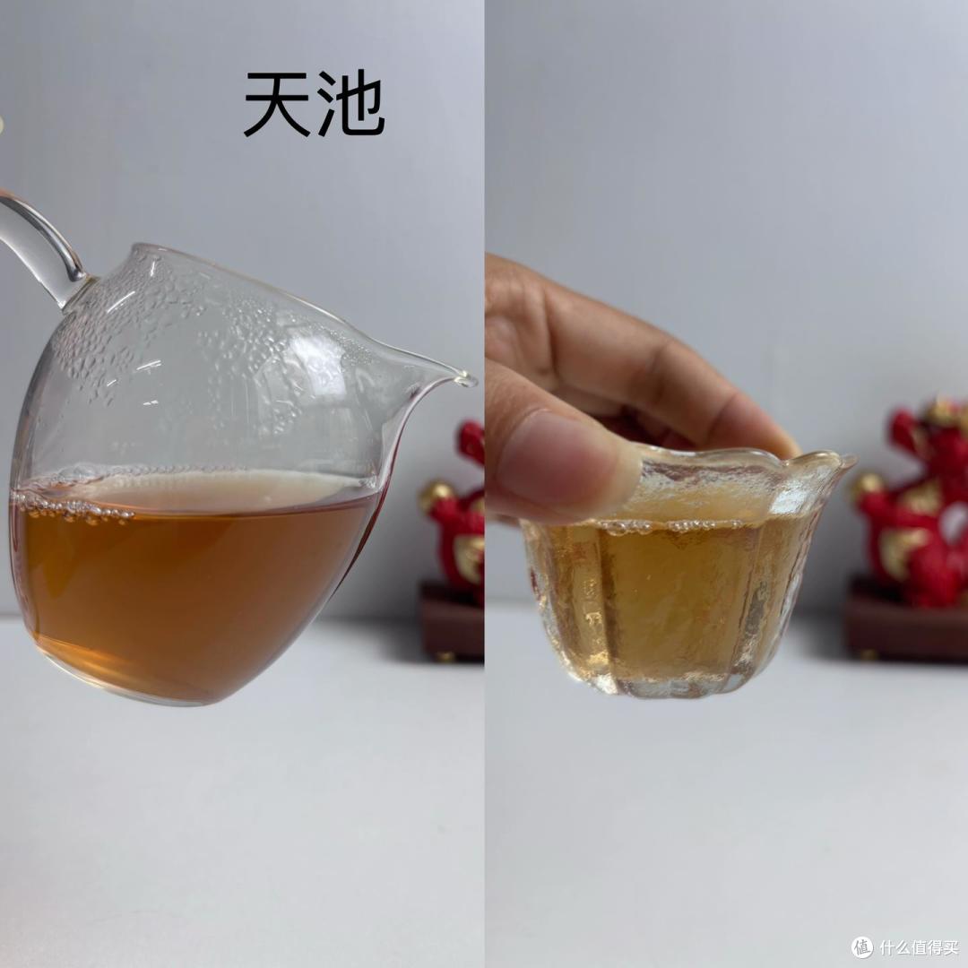 【凤凰单丛茶测评】天池传承蜜兰香对比库洛茶蜜兰香