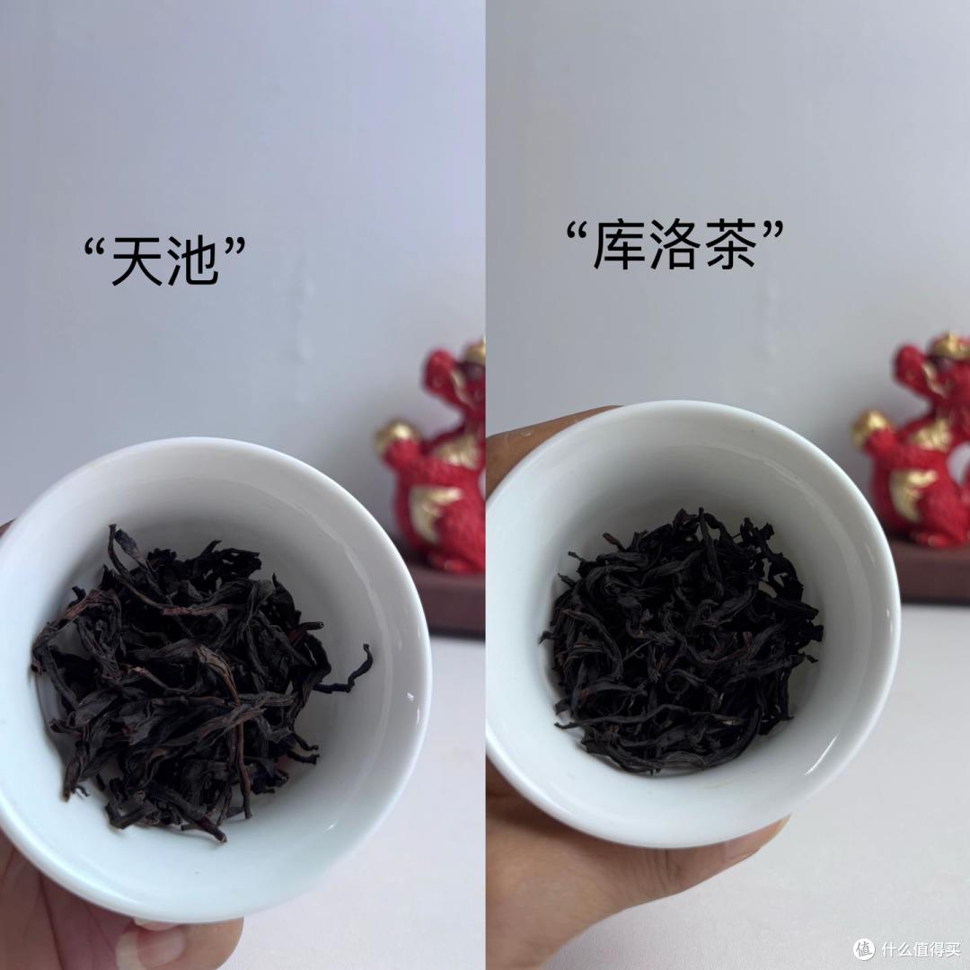 【凤凰单丛茶测评】天池传承蜜兰香对比库洛茶蜜兰香