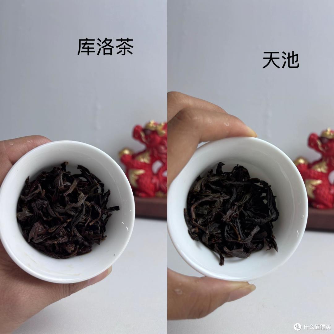 【凤凰单丛茶测评】天池传承蜜兰香对比库洛茶蜜兰香