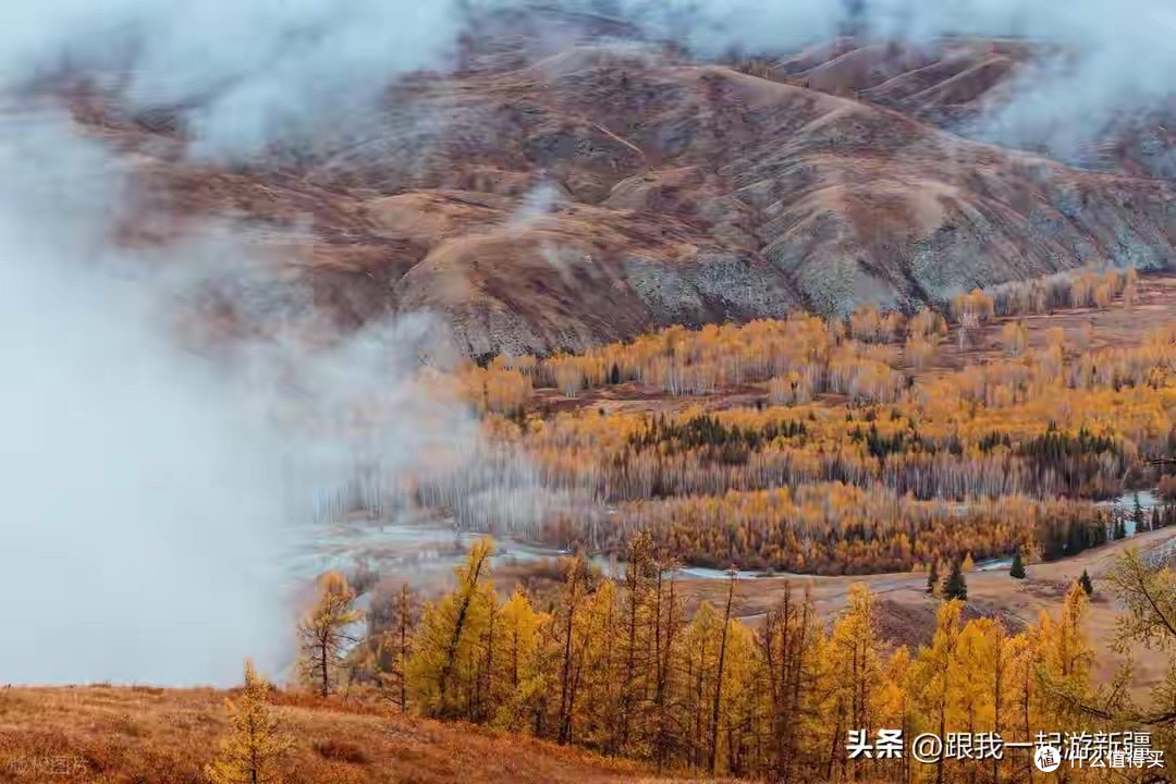 食欲不好怎么补蛋白？换形式、拆次数、稳补充
