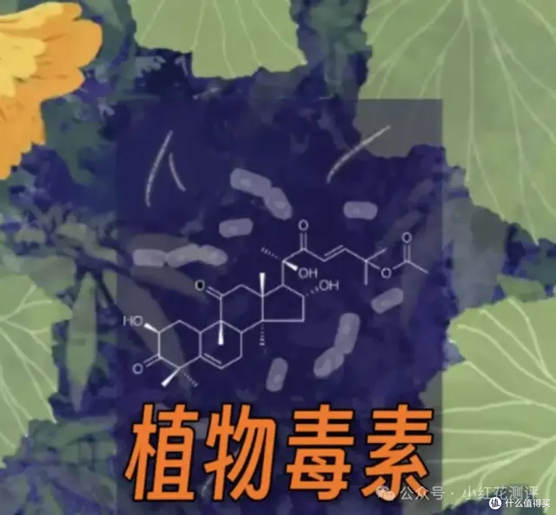 「苦瓜」送人进急诊？很多人都吃错了！这些瓜苦了是毒！