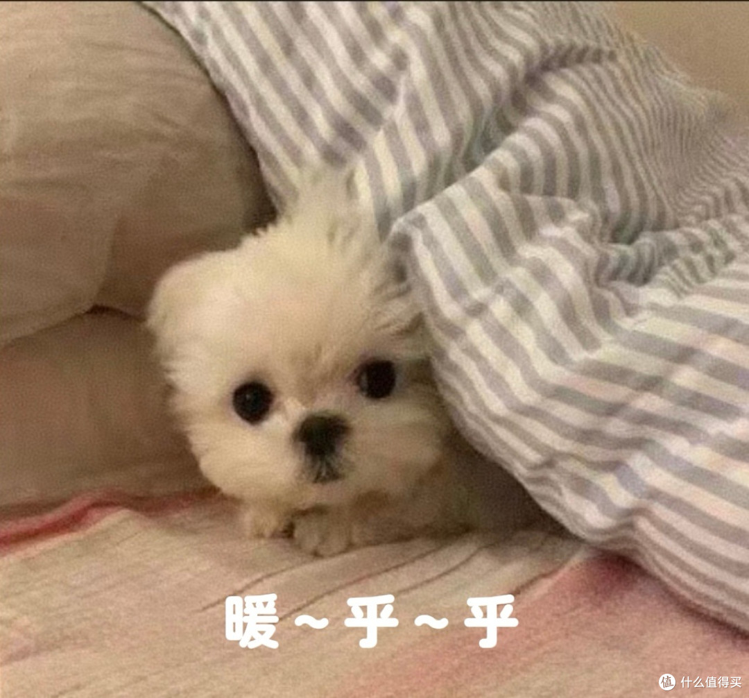 工作三年,我一次买了四件羽绒服:浅聊实测体验与穿搭指南