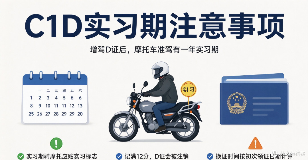 一文看懂C1D驾照，想增驾D证先读完