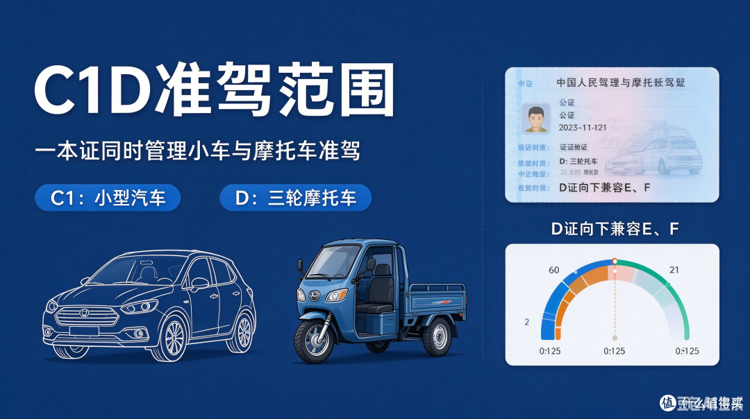 一文看懂C1D驾照，想增驾D证先读完