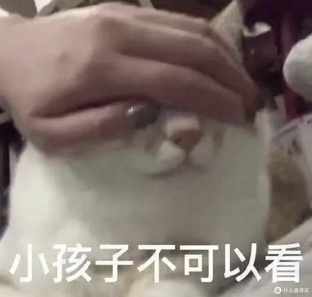 小孩子🈲｜黑帮领地2 盖里奇拍的黑帮内战，爽感之下全是代价