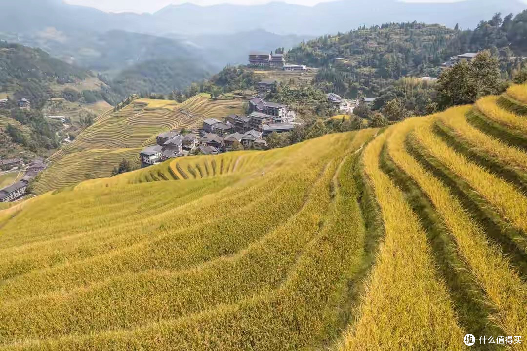 怎么选正宗长岛海参?2026年识别产区信息的避坑指南