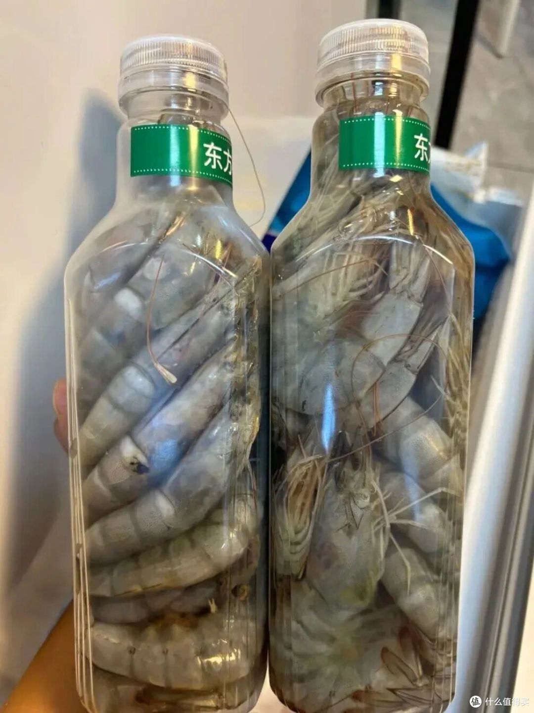 冻门永存，吃不完就这样保存，那我以前吃不完放坏全丢掉算什么！